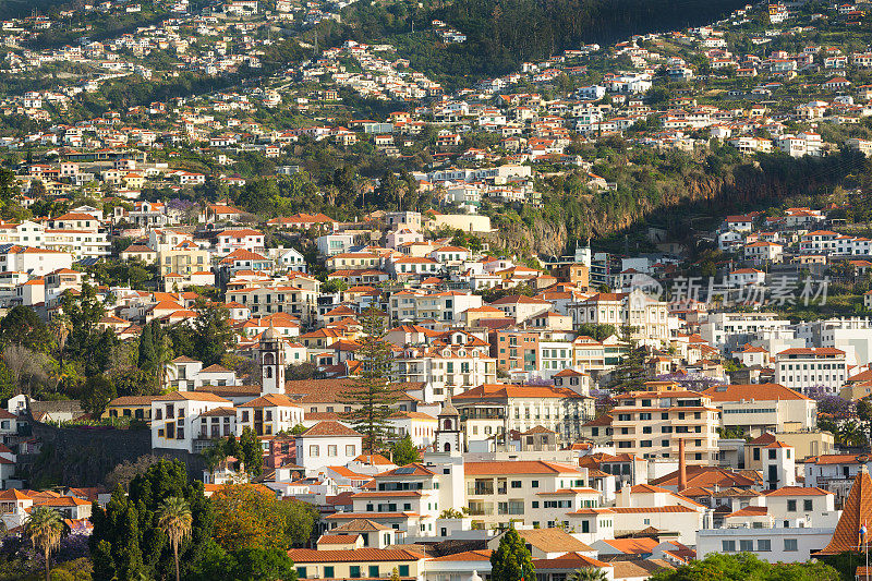 Funchal Madeira葡萄牙从海洋